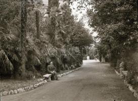 Síkfilm negatívok tartó tasakban 23 db