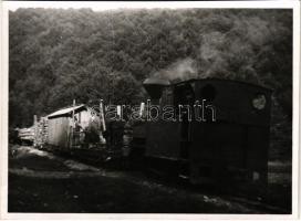 Faszállító tehervonat, gőzmozdony / timber freight train, locomotive. photo (non PC) (gyűrődés / crease)