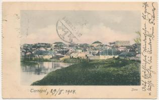 1908 Ternopil, Tarnopol; Staw / general view with the Old synagogue (small tear)