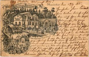 1892 (Vorläufer!!!) Mariánské Lázne, Marienbad; Café Panorama. Art Nouveau, floral + 2 Kr. Ga. early postcard! (EB)