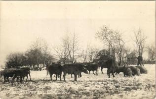 Rumanische Viehherde / livestock in winter. photo (glue mark)