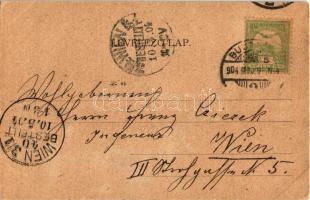 1904 Jókai Mór (1825-1904), gyászlap / obituary card (kopott sarkak / worn corners)