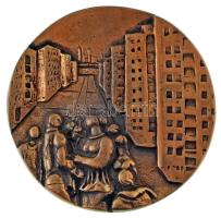 ~1970-1980. "XX. Kerületi Tanács - Társadalmi munkáért" kétoldalas, öntött bronz emlékplakett dísztokban (96mm) T:AU