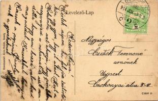 1914 Budapest XII. Holub villa. Kunstanstalt Alois Holub kiadása. Istenhegyi út 11. (fl)