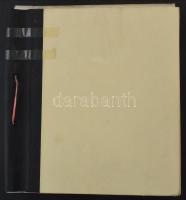 Hollandia gyűjtemény másodpéldányokkal, értékekkel 28 Schaubek berakólapokon. Magas katalógusérték é...