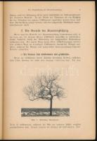 Winkelmann, Hugo - Wenck, Friedrich: Die Kronenerziehung der Obstbäume. Grundlagen und Fortschritte ...