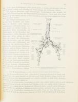 Groedel, Franz M.: Grundriss und Atlas der Röntgendiagnostik in der inneren Medizin. I-II. Teil. (I....