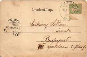 1905 Rozsfalva, Rochfalva, Rochovce (Nagyszabos, Slavosovce); Janovitz Gyula faanyaggyára. Üdvözlet ...