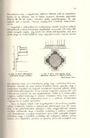 Dercsényi Dezső: 
A székesfehérvári királyi bazilika. Gerevich Tibor előszavával.
Budapest, 1943. ...
