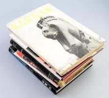 Vegyes Egyiptommal kapcsolatos tétel, 6 db:  Christiane Desroches-Noblecourt: Tutanhamon. Egy fáraó élete és halála. Bp.,1985, Corvina. 4. kiadás. Kiadói egészvászon-kötés, szakadt kiadói papír védőborítóban, ex libris bélyegzéssel, néhány foltos lappal.;  Fritz Hintze: Champollion. Entzifferer der Hieroglyphen. Leipzig,én.,VEB Messedruck, 10 sztl. lev. Német nyelven. Kiadói papírkötés.;  G. Timár György - Tedeschi Mária: Egyiptomi verőfény. "Világjárók 52." Bp., 1966., Gondolat. Kiadói félvászon-kötés, javított kiadói papír védőborítóban.;  Kairó. Bp., 1970., Helikon - Corvina. Kiadó nyl-kötés, kiadói papír védőborítóban.;  Kazimerz Michalowski - Andrzej Dziewanowski: Karnak. Bp.,1970,Corvina. Kiadói egészvászon-kötés, javított kiadói papír védőborítóban.;  Futó József: Afrika. Bp., 1963., Gondolat. Kiadói egészvászon-kötés, kissé szakadt kiadói papír védőborítóban.;