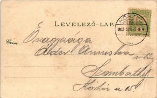 1903 Rőtfalva, Rőt, Rattersdorf (Répcekethely, Mannersdorf an der Rabnitz); látkép. Róth Jenő kiadás...