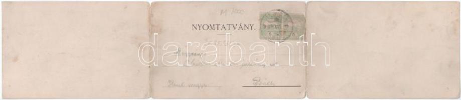 1905 Resicabánya, Resica, Resicza, Resita; vasgyár. Weiss A. kiadása, 3-részes kihajtható panorámala...
