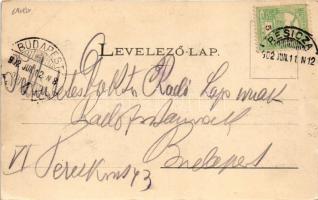 1902 Resicabánya, Resica, Resicza, Resita; vasgyár. Ifj. Neff Károly kiadása / iron factory, ironwor...