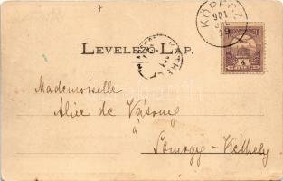 1901 Köpec, Capeni (Barót, Baraolt); 1848-as emlékoszlop és községháza / Hungarian military monument...