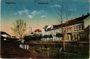 Nagykároly, Carei; Széchenyi utca, Albanezi Gyula üzlete. Eigner Simon kiadása / street, shops (kopott élek / worn edges)