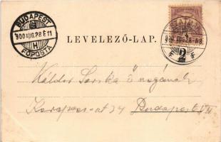 1900 Szatmárnémeti, Szatmár, Satu Mare; látkép. Löwy M. kiadása / general view. Art Nouveau, floral ...