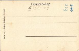 1905 Segesvár, Schässburg, Sighisoara; Petőfi szobra. H. Zeidner kiadása / statue of Sandor Petofi (...