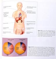 Norman K. Hollenberg (szerk.): Atlas of hypertension. Philadelphia, 2009, Current Medicine Group-Spr...