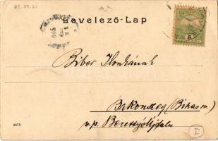 1905 Székely legény / Szekler man, Transylvanian folklore (EK)