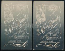 cca 1910 Hölgy és kislány portréi, 2 db vizitkártya Herz Henrik budapesti műterméből, dekoratív, sze...