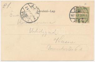 1902 Arad, Szabadság szobor, üzletek. Szecessziós magyar zászlós litho keret / Financial Palace. Art...