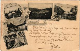 1897 (Vorläufer!) Szebenjuharos, Hohe Rinne, Paltinis; Grüss aus den Siebenbürgischen Karpathen! Negoi-Schutzhütten, Kurhaus auf der Hohen Rinne (Paltinis), Bullea-Schutzhütte, Presbe-Schutz, Drachensteig. Siebenbürgischer Karpathenverein Section Hermannstadt / Üdvözlet az Erdélyi Kárpátokból! Szebenjuharos, Negoj, Bólya menedékházak, gyógyházak. Az Erdélyi Kárpát Egyesület Nagyszebeni részlegének kiadása / spa, rest houses, mountain huts in the Transylvanian Carpathians. Art Nouveau, floral (EK)