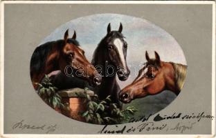 1905 Lovak / horses. M. M. Vienne N1. 182. s: C. Reichart (tűnyomok / pinmarks)