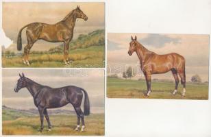 3 db RÉGI lovas képeslap, vegyes minőségben. Stehli No. 144-145-16. / 3 pre-1945 horse art postcards in mixed quality