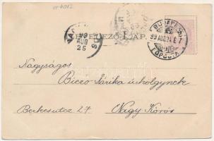 1899 (Vorläufer) Dicsőszentmárton, Tarnaveni, Diciosanmartin; Vármegyeháza belső része, kórház, Kis-...