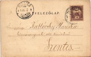 1901 Szarvas, Gróf Bolza kastély. Farkas Soma kiadása (EK)