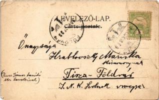 1904 Eperjes, Presov; nyaraló. Cattarino Sándor kiadása / villa (b)