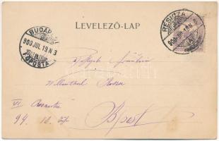 1900 Resicabánya, Resicza, Recita, Resita; A szab. osztr. magy. államvasút-társaság délmagyarországi...