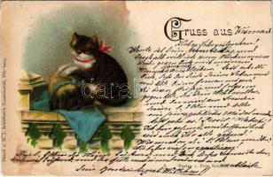 Cat and dog. Verlag v. Fritz Schardt. Druck v. H. J. Schüffner's Kunstanstalt litho (Rb)