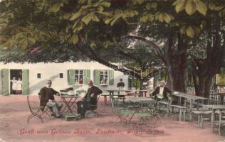 Loschwitz Restaurant of Franz Seifert