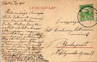 1908 Csernátfalu, Cernatu (Négyfalu, Sacele); Piac, Pannonia szálloda. St. K. kiadása 250. (W.L. ?) ...