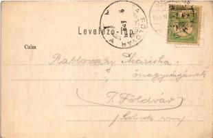 1904 Budapest I. Budai látkép (EK)