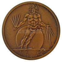 Borsos Miklós (1906-1990) 1980. "XXVIII. International Congress of Physiological Sciences Budap...