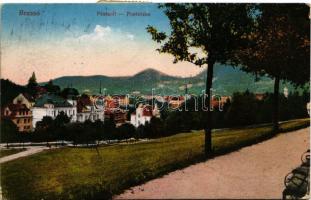 Brassó, Kronstadt, Brasov; Postarét. Vasúti levelezőlapárusítás 33. sz. 1916. / Postwiese / Livadia postei / villas (EK)