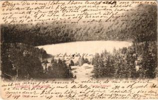 1901 Tusnádfürdő, Baile Tusnad; Szent Anna tó. Adler Alfréd fényképész / lake (EB)