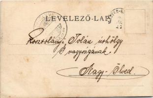 1902 Szőgyén, Szölgyén, Svodín, Seldin; Szvoboda Román római katolikus tanító kertje / garden of Rom...