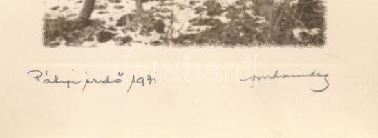 cca 1932 Orphanidesz János (1876-1939): Pályi erdő. jelzett vintage fotóművészeti alkotás, művészfól...