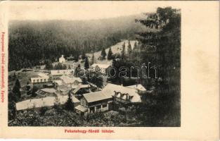 1907 Feketehegyfürdő, Feketehegy, Cernohorské kúpele (Merény, Vondrisel, Nálepkovo); látkép. Fénynyomat Divald műintézetéből / general view, spa (EK)