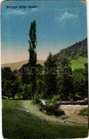 1918 Rozsnyó, Roznava; tájkép részlet. Fuchs József kiadása / general view (EM)