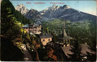 1916 Tátra, Magas-Tátra, Vysoké Tatry; Tarpatakfüred. Cattarino S. utóda Földes Samu kiadása 163. / Kohlbach / hotel, spa, mountain (kopott sarkak / worn corners)