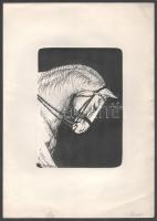 Metz Éva (1957-), 2 db rajz: Ló portrék. Tus, papír. Mindkettő jelzett. 17x12 és 16,5x12 cm