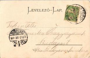 1903 Topolya, Bácstopolya, Backa Topola; Sztrek Károly gőzhengermalma, Begovits ház, Begovits Mátyás...