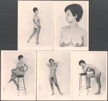 ca 1960 Székfoglaló 5 db amatőr erotikus fotó 10x15 cm