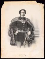 Barabás Miklós (1810-1898): gróf Nádasdy Tamás, Bécs, Reiffenstein és Rösch-ny., papír kartonra kasírozva, litográfia, jelzett a dúcon, foltos, sérült kartonnal, a metszet papírja körbevágott, 36x28 cm