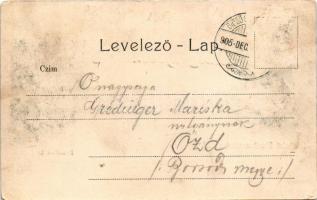 1905 Dicsőszentmárton, Tarnaveni, Diciosanmartin; Erzsébet út, Bokor Farkas üzlete. Dosztál Kálmán k...