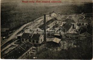 1910 Algyógy, Geoagiul de jos, Geoagiu; M. kir. vasgyár szanatóriuma / sanatorium of the iron factory (kopott sarkak / worn corners)